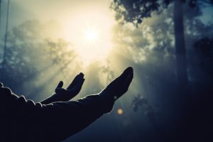 Gebet – Heilung – Prophetie: Göttliche Heilung
